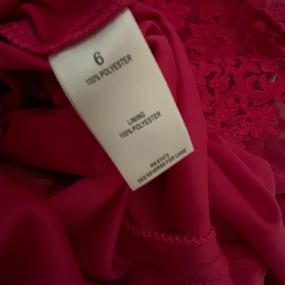 Gorgeous Lace Overlay Dress - Picture 10 of 11